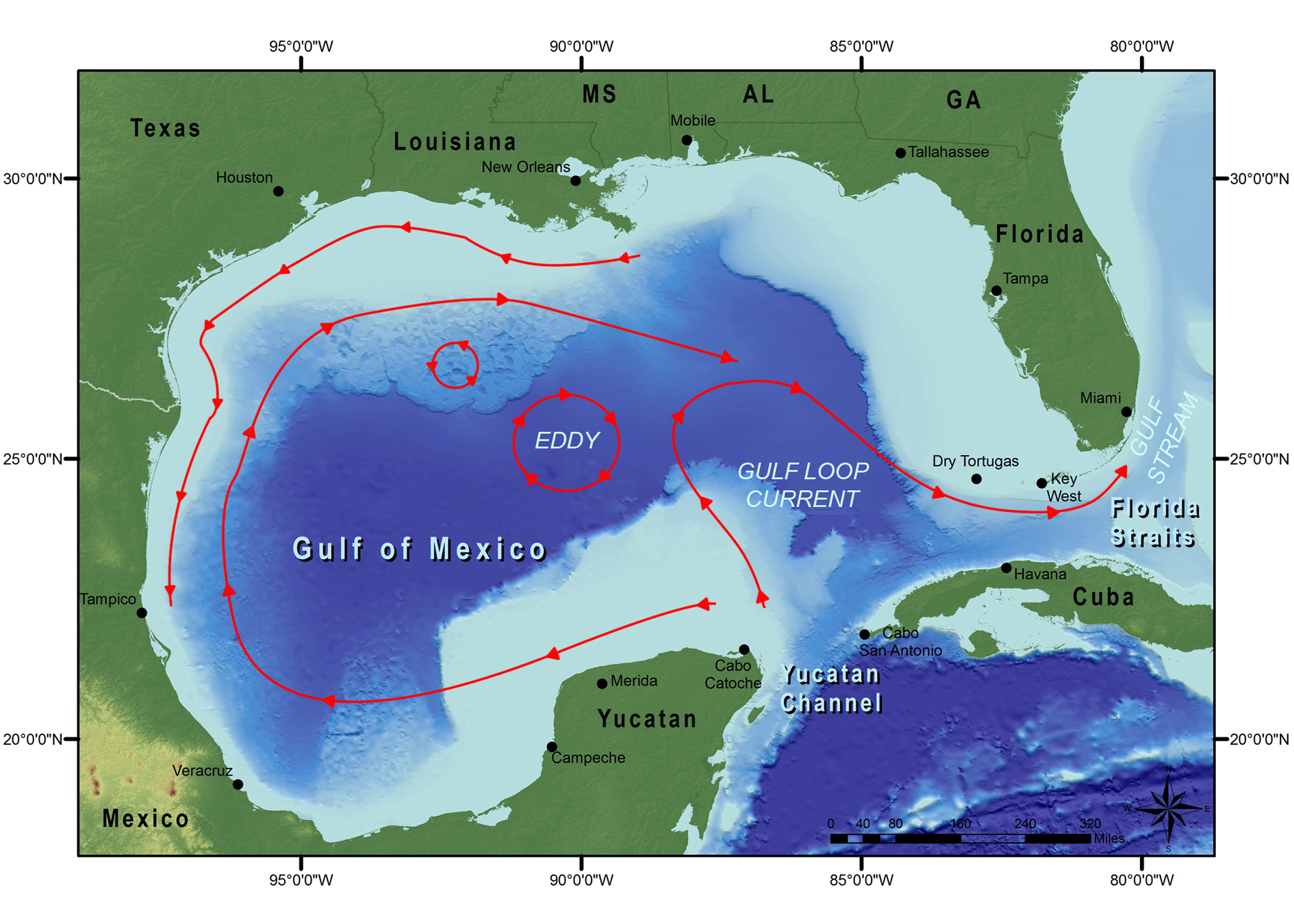 (Gulf of Mexico)